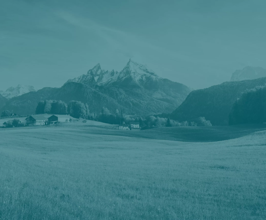 Gestione ambientale link